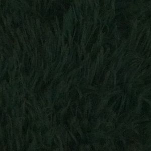 Meet your Posher, Mia